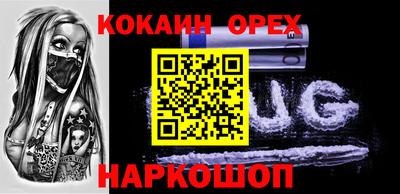 тгк Новодвинск