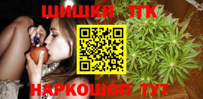 тгк Новодвинск