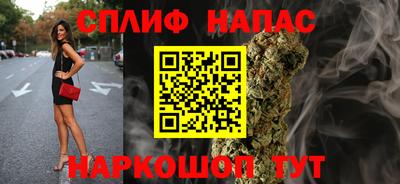 тгк Новодвинск