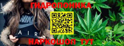 альфа пвп Новокубанск