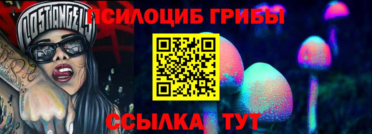 Галлюциногенные грибы прущие грибы  Галлюциногенные грибы GOLDEN TEACHER  Вход с VPN  Мыски 